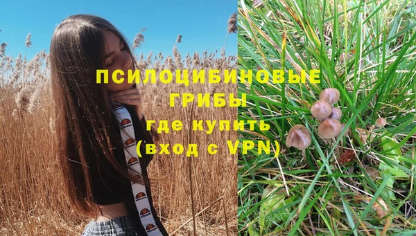 сатива Абинск