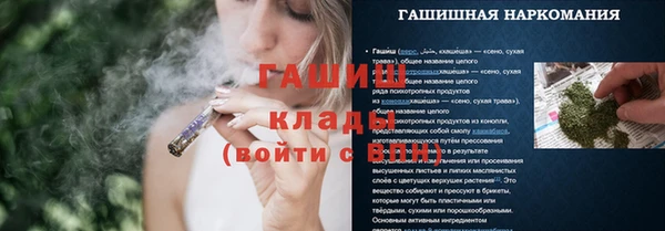 сатива Абинск