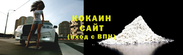 сатива Абинск