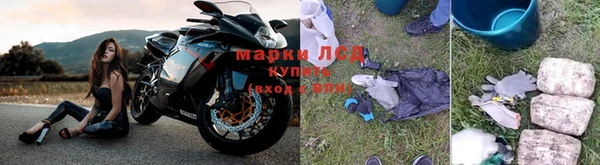 сатива Абинск