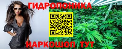 гашик Лесной