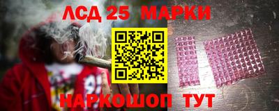 гашик Лесной