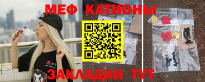 гашик Лесной