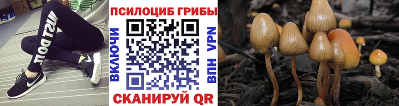 Галлюциногенные грибы MAGIC MUSHROOMS  закладка  Уварово 