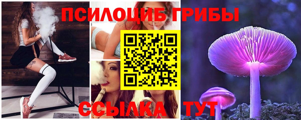 Галлюциногенные грибы Psilocybine cubensis  где купить наркотик  Уварово  Вход с VPN 